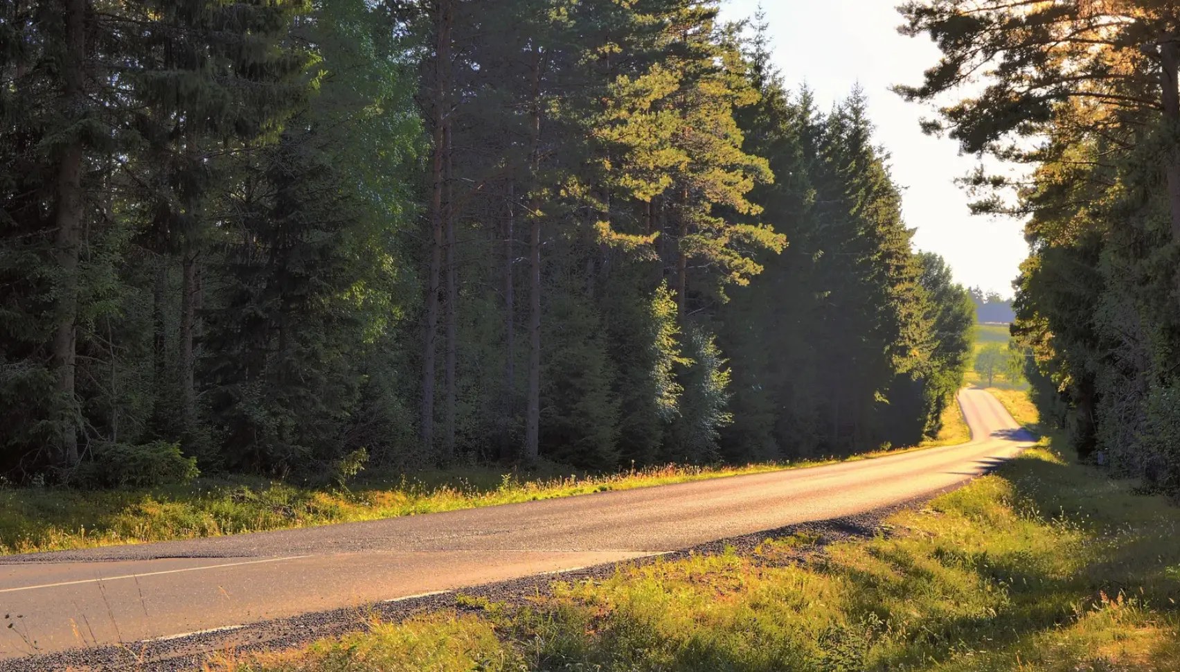 Landsvei gjennom høstskog i kveldslys, klargjør bilen før langturen